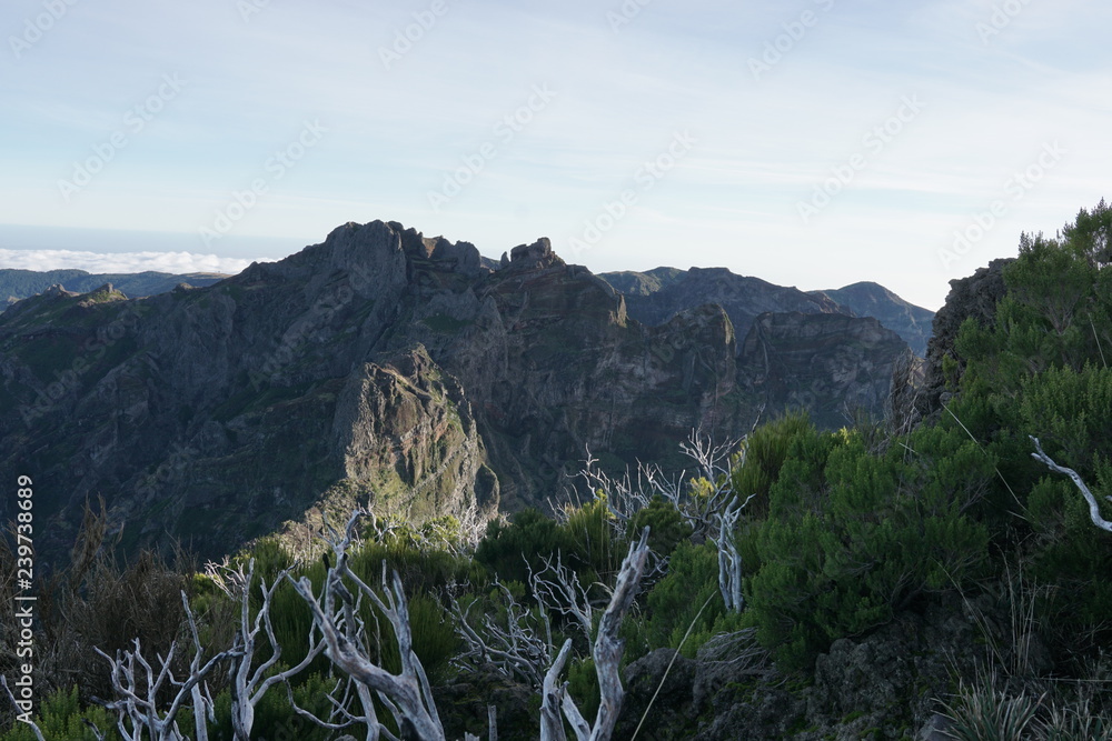Pico Ruivo Madeira Portugal