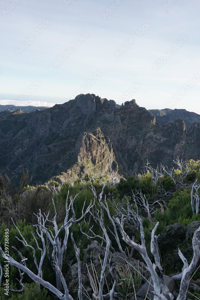 Pico Ruivo Madeira Portugal