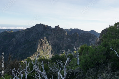 Obraz na płótnie Pico Ruivo Madeira Portugal w salonie