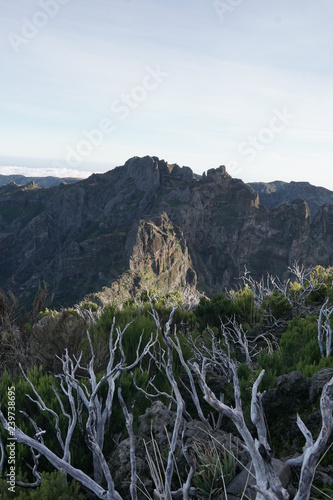 Obraz na płótnie Pico Ruivo Madeira Portugal w salonie
