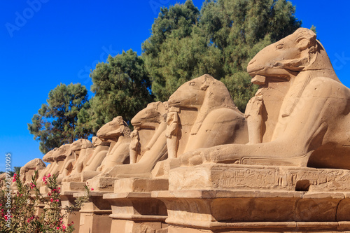 Alley of sphinxes at Karnak Temple Complex in Luxor, Egypt