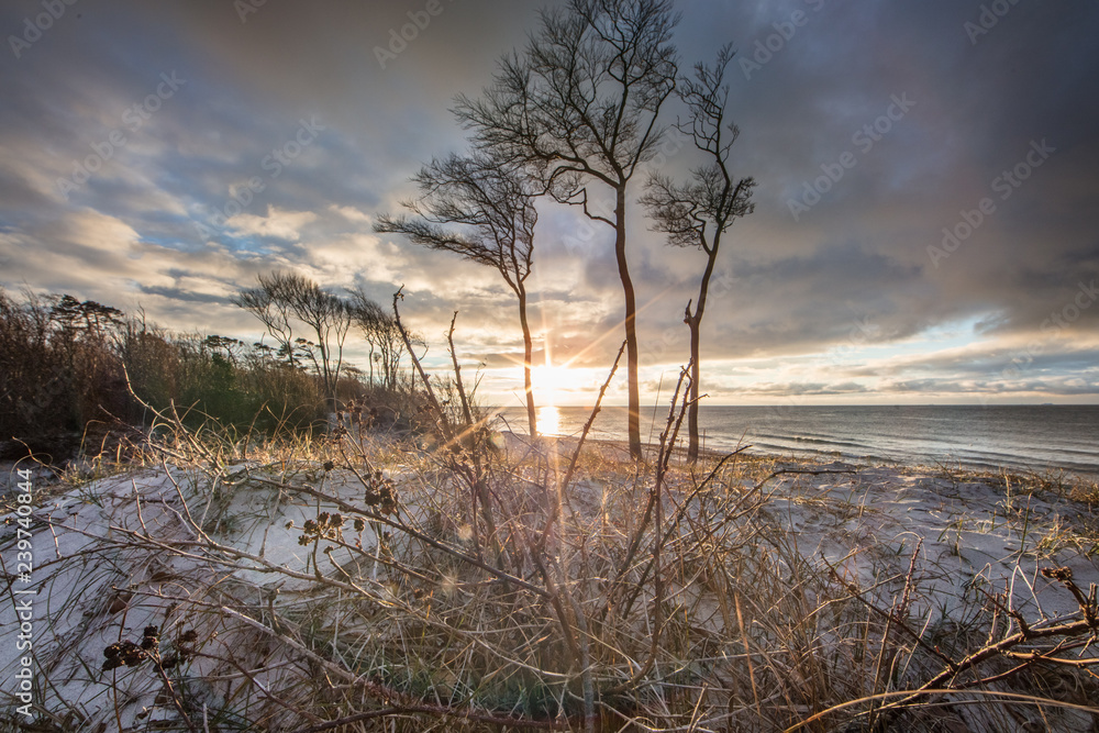 weststrand darß