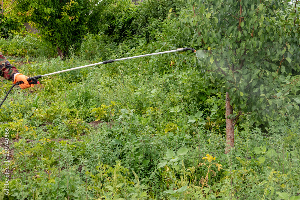 Naklejka premium Male farmer with hat, glasses, respirator, apron, protective clothing watering fruit trees with professional sprayer. Fighting pests in garden. Blue reservoir with electric sprayer. Poison for insects