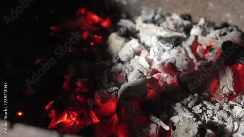 Wallpaper Mural Cooking meat in nature in the winter. Torontodigital.ca