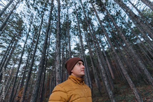 Traveler yellow jacket in a pine forest with tall trees. Leisure. photo