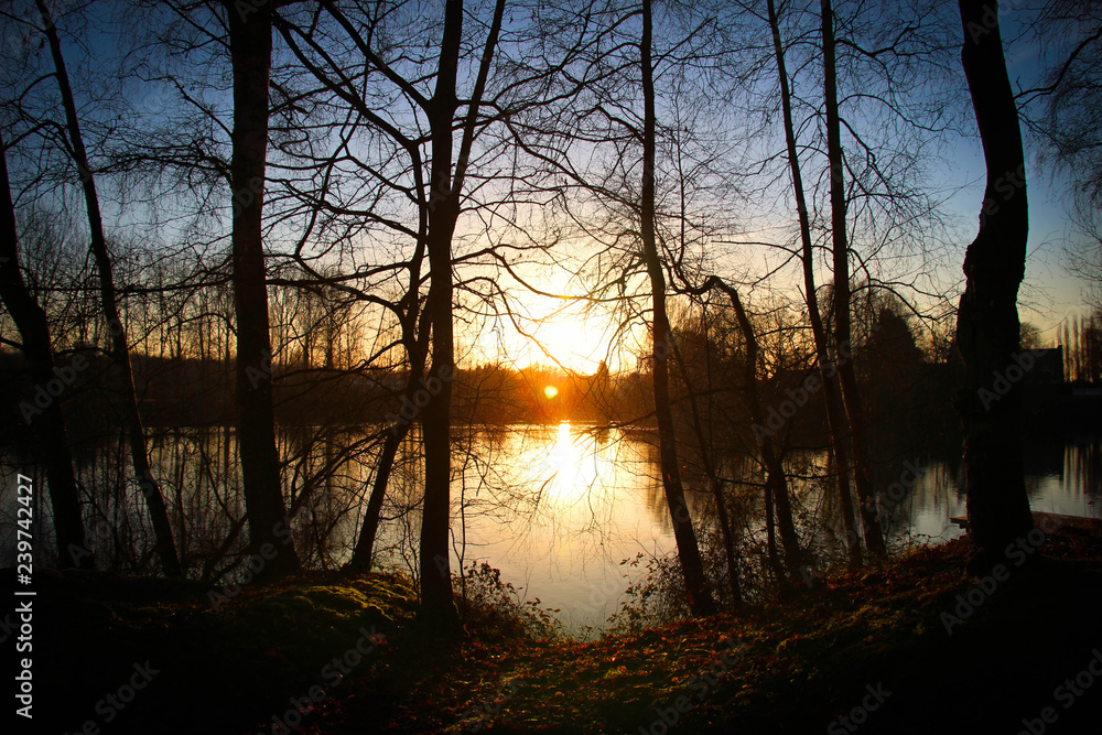 Naklejka premium nature