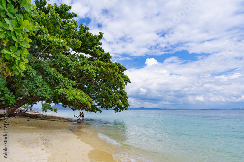 Fototapeta Naklejka Na Ścianę i Meble -  The beach on the island of Koh Kradan. Andaman Sea, Trang Province, Southern Thailand