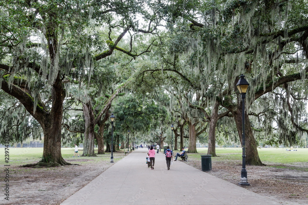 Families in the Park