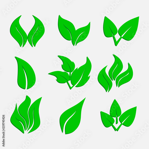 set of green leaves  ecological icons  stickers  abstract nature