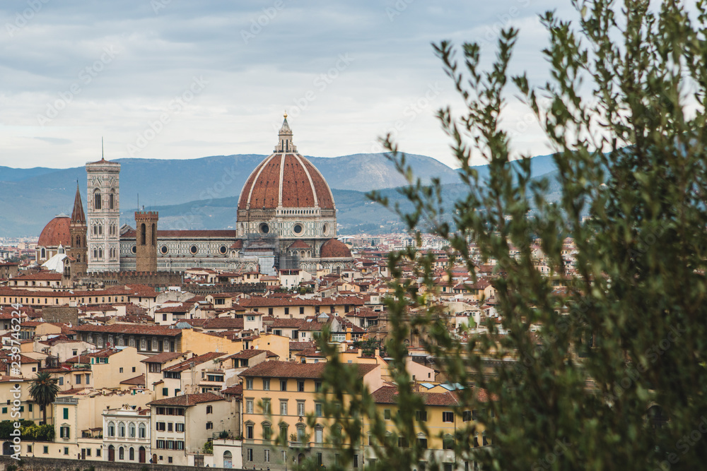 Fototapeta premium Florence, Tuscany, Italy, Europe.