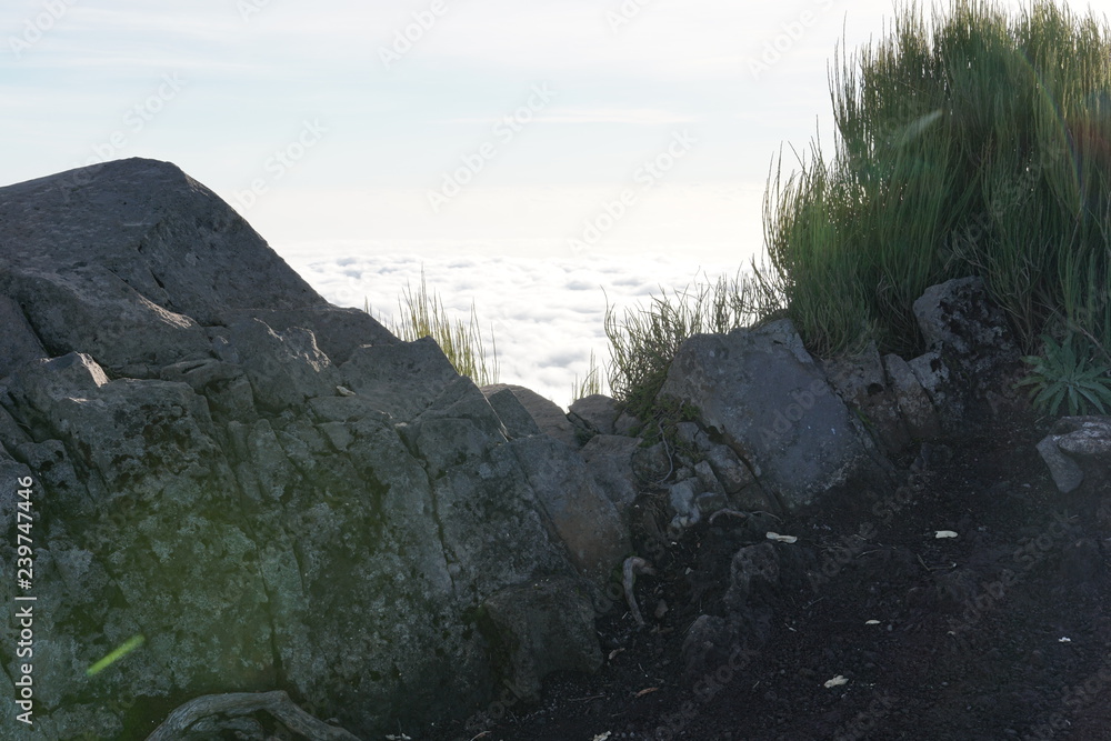 Pico Ruivo Madeira Portugal