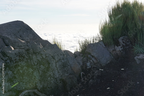Obraz na płótnie Pico Ruivo Madeira Portugal w salonie