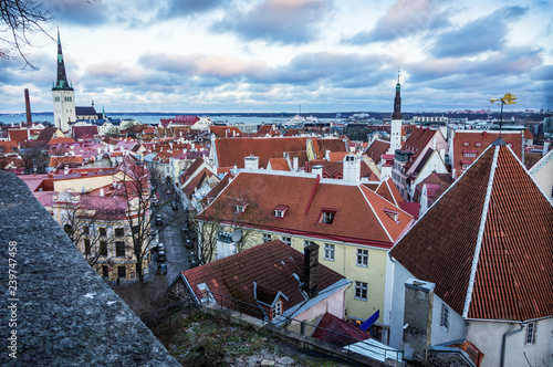 Rooftops of Tallinn from the observation platform