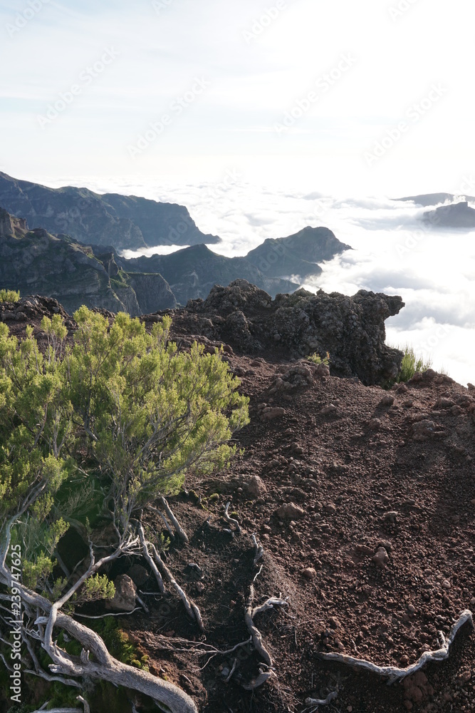 Pico Ruivo Madeira Portugal
