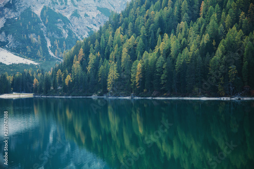 Amazing Pine Forest Reflection on Lake