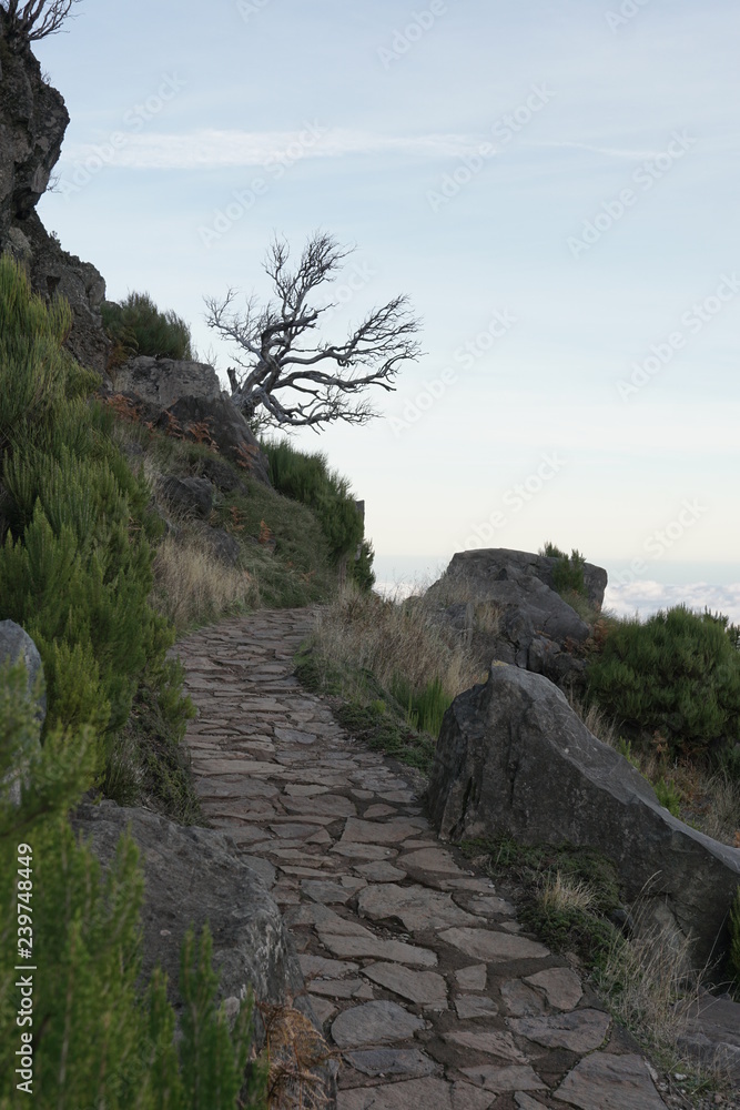 Pico Ruivo Madeira Portugal