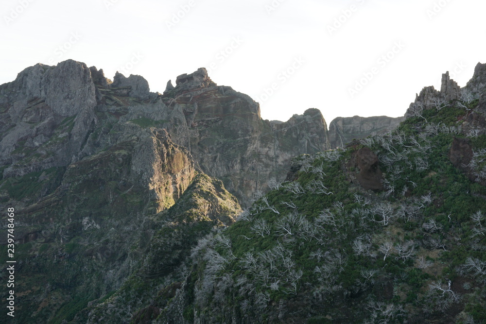Pico Ruivo Madeira Portugal