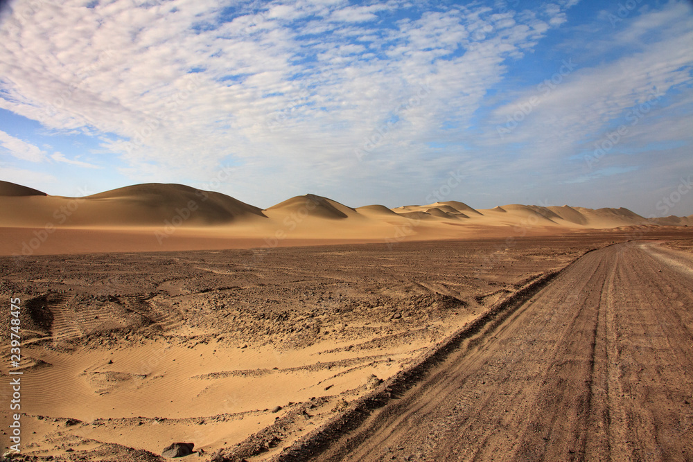 The desert in Paracas in Peru. Sun sea and sand