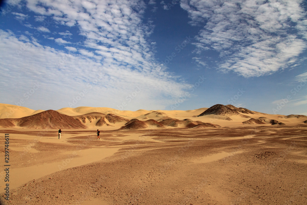 The desert in Paracas in Peru. Sun sea and sand