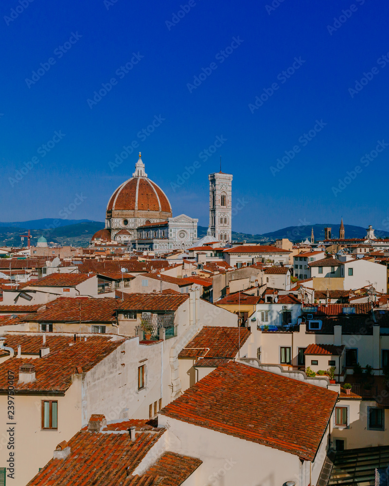 Florence Cathedral and Giotto's Bell Tower under blue sky, over houses of the historical center of Florence, Italy