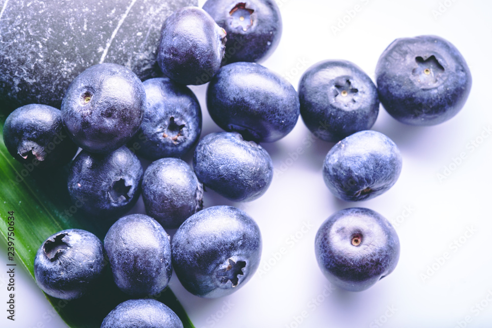 Blueberry blueberries are a healthy food with a green leaf in black or white background Blueberry blueberries are a healthy food with a green leaf in black or white background