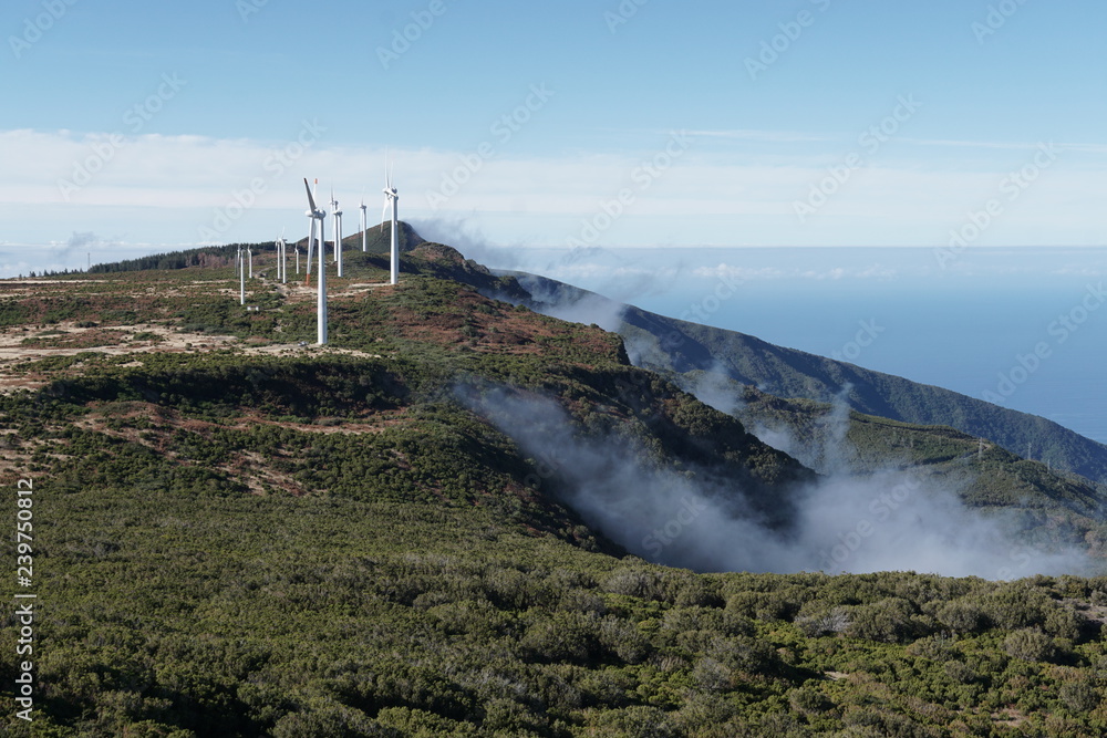 Pico Ruivo Madeira Portugal