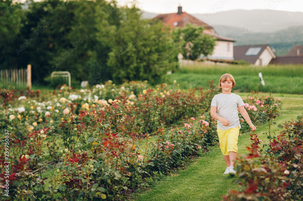 Fototapeta premium Summer portrait of cute little boy playing in rose garden