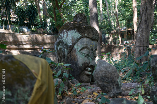 Wat Umong Buddha
