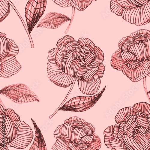 Seamless pattern with hand drawn peonies. Floral surface design.