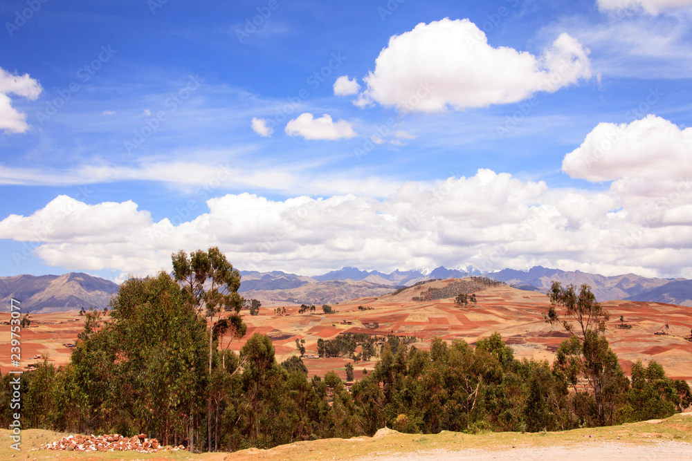 Landscape in Peru, wildlife in Latin america