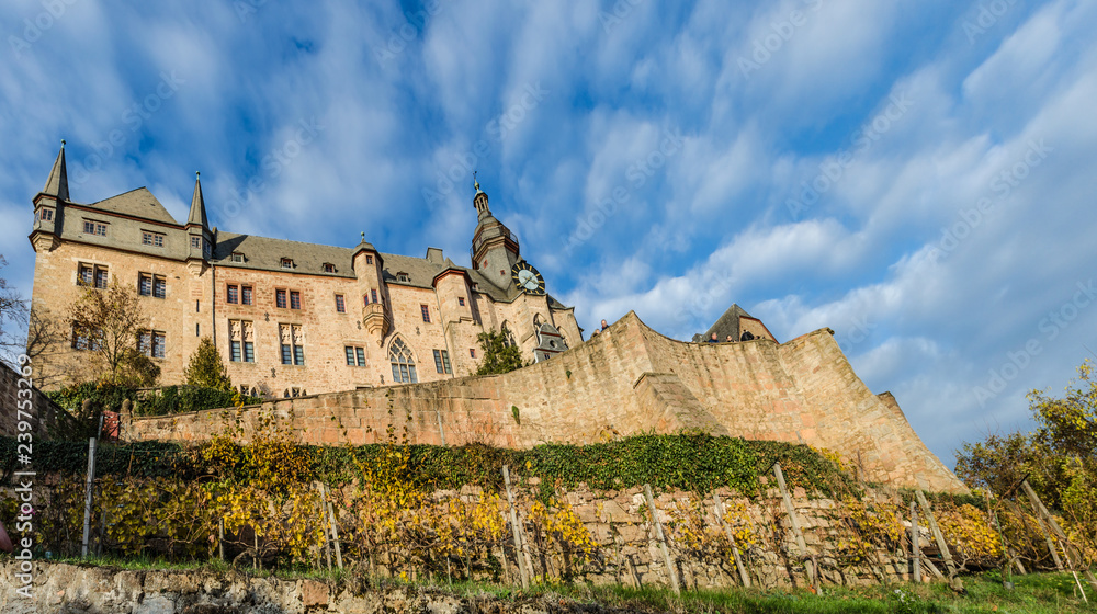 Marburger Schloss mit Weinberg