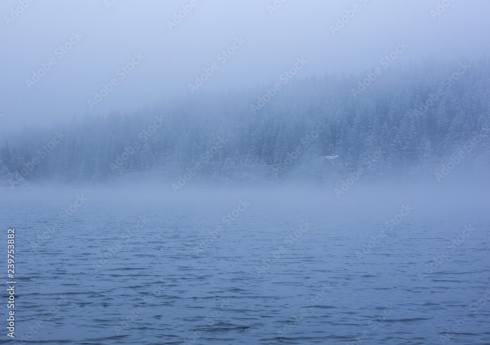 Frosty morning at a lake