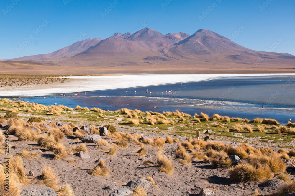 Gorgeous landscapes of Sur Lipez, South Bolivia.