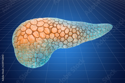 Visualization 3d cad model of human pancreas, 3D rendering