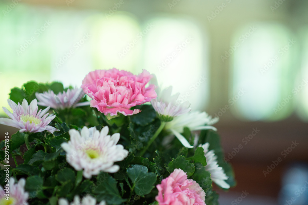 Flowers decorated beautifully in church - images Flowers decorated beautifully in church - images