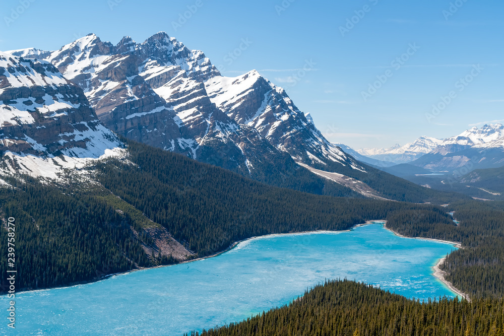 Spring aerial view of the Peyto lake and snowy rocky mountains in background - Banff national park, Alberta, Canada. Shot was taken in late spring and the lake is still half frozen.