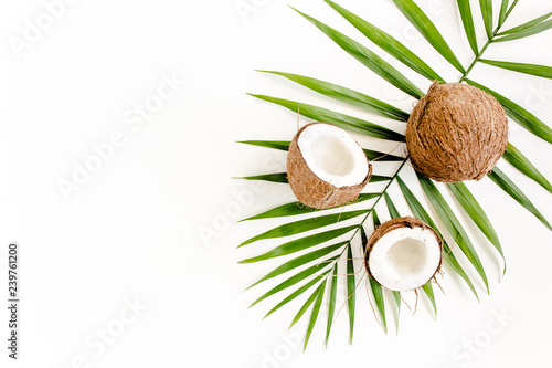 Tropical green palm leaf and cracked coconut on white background.  Nature concept. flat lay, top view