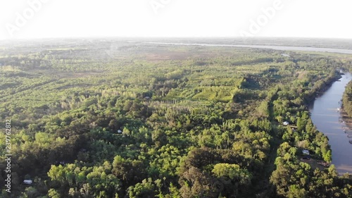 drone flight woods