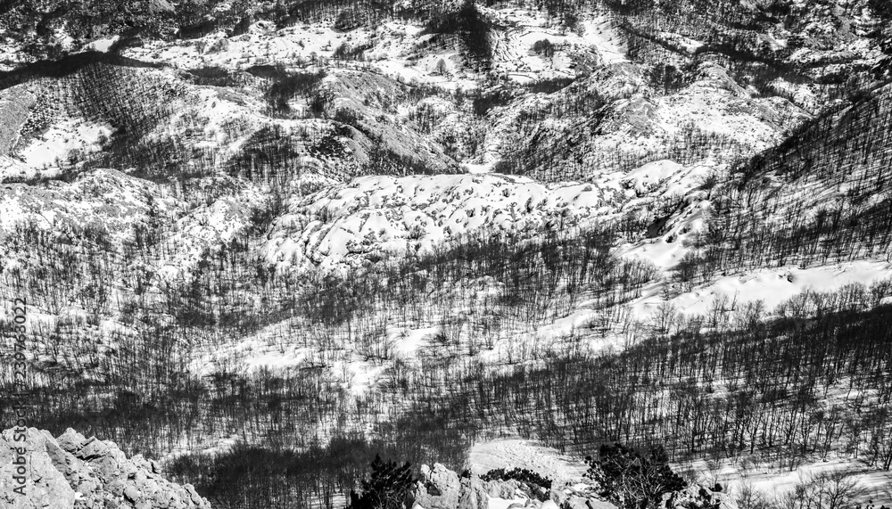 Abstract winter landscape in black and white