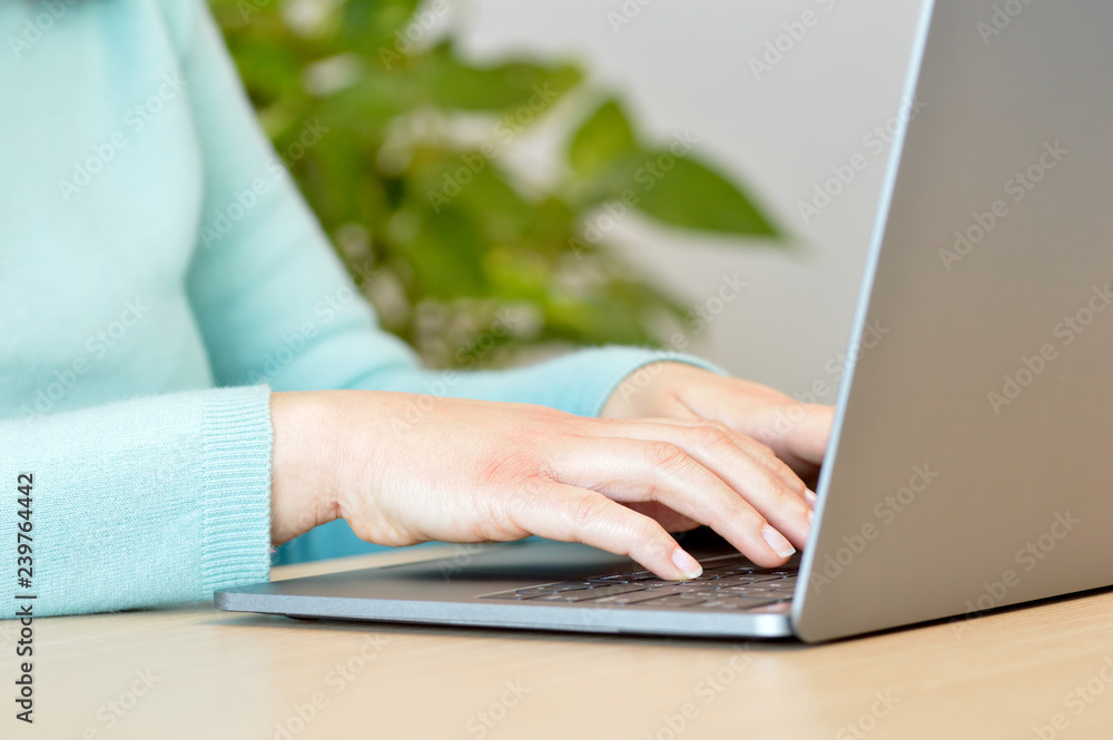 typing on the laptop typing on the laptop