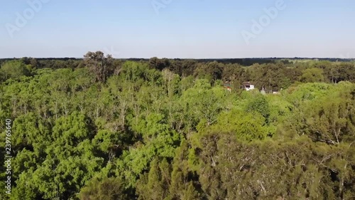 drone flight woods