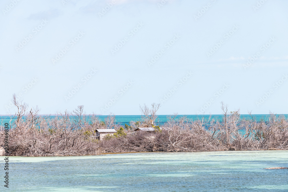 Many damaged, destroyed houses, mangrove on beach by shore, coast in Florida keys island after destruction of hurricane irma, houses, roofs, rooftop after storm wind