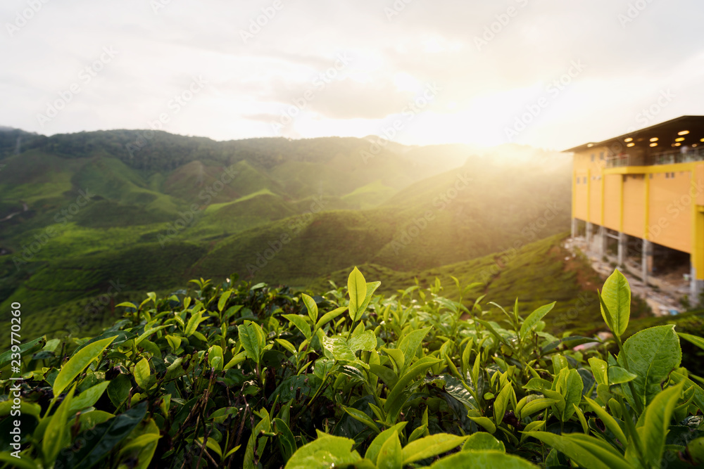 Fotografie Amazing Malaysia landscape
