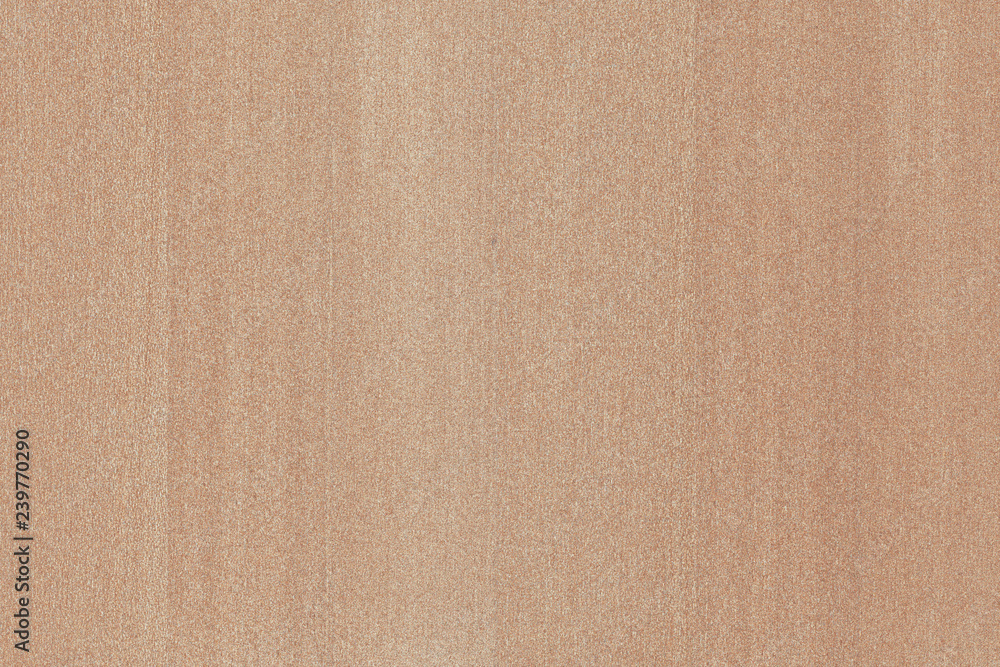 light brown beech tree wood wallpaper structure surface texture background light brown beech tree wood wallpaper structure surface texture background