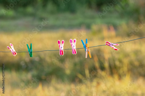 colorful pegs on a green outdoor background