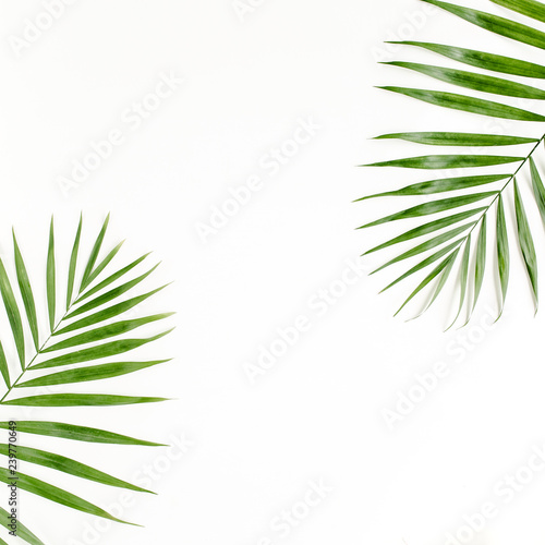 Tropical green palm leaves on white background. flat lay, top view