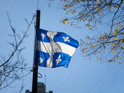 Quebec flag in front of a trees waiving in the air. Also known as Fleur de Lys, or fleurdelise, it is the official symbol of the Canadian province of Quebec.