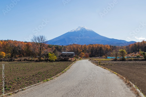 Mt.Fuji in autumn, Japan © anujakjaimook