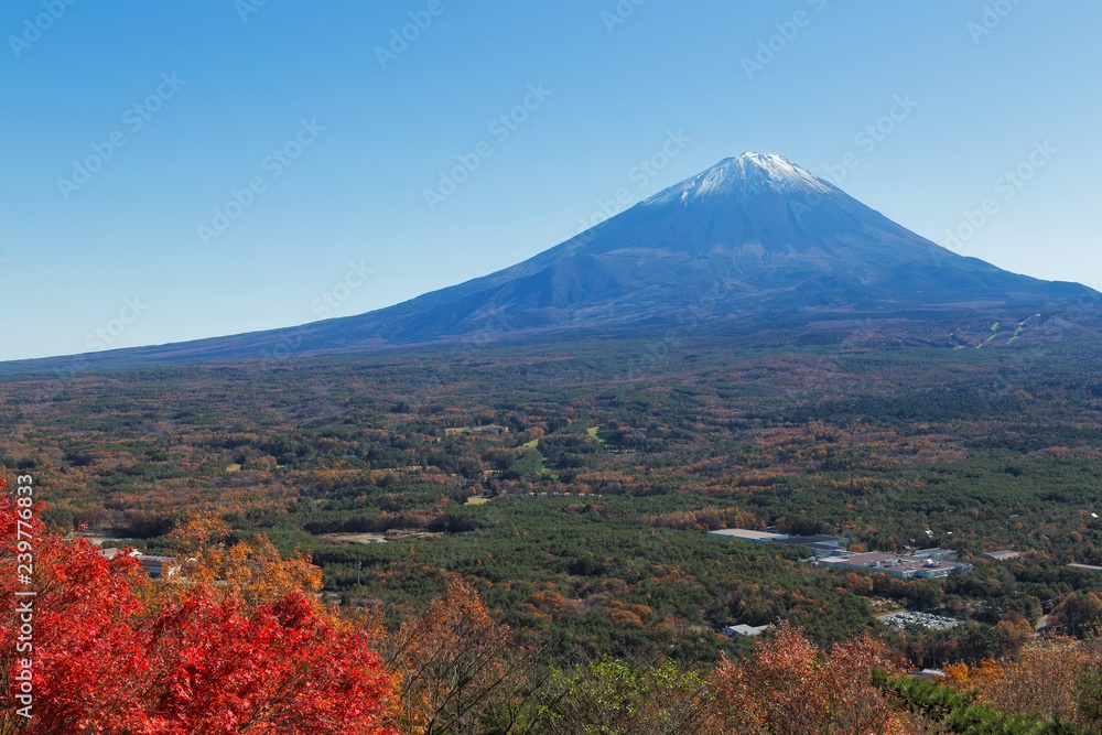 Fototapeta premium Mt.Fuji in autumn, Japan