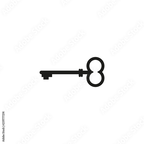 key icon, stock vector illustration flat design © Metanet
